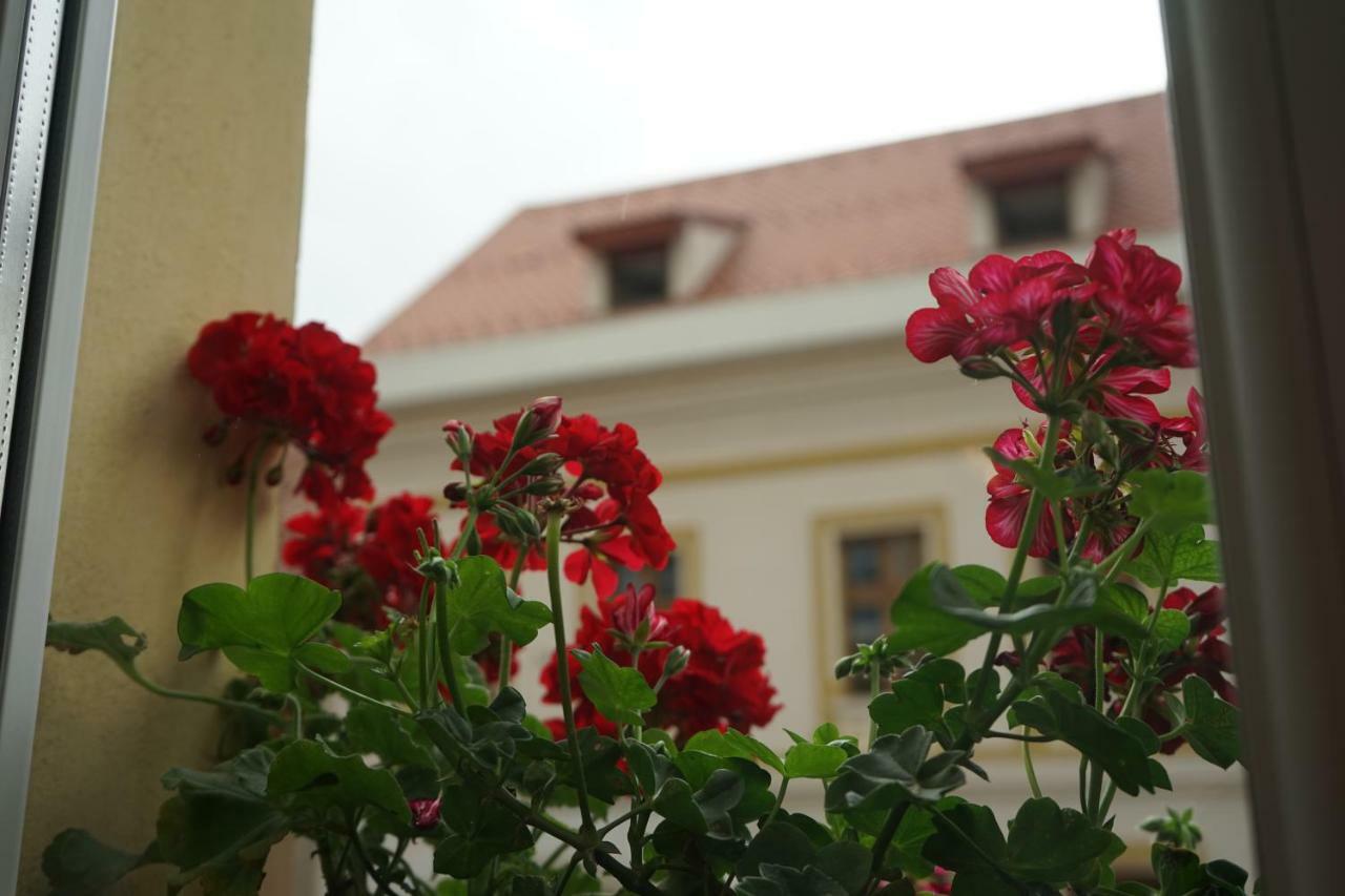 Crown Of Karolina Apartment Brasov Luaran gambar