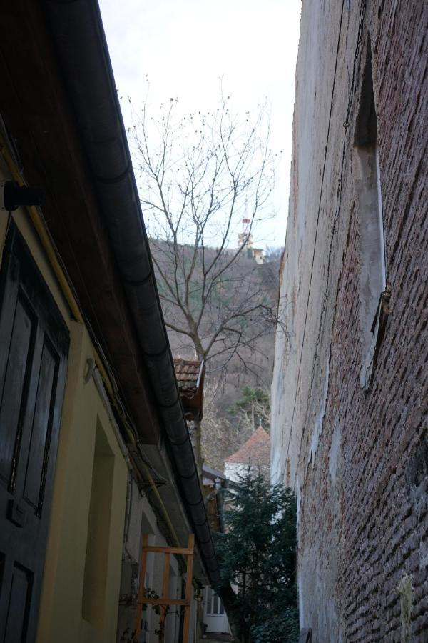 Crown Of Karolina Apartment Brasov Luaran gambar
